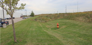 Hanlan West site drainage